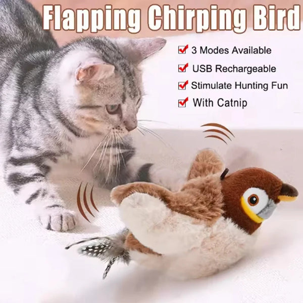 diferentes modos para todos los tipos de gatos.
